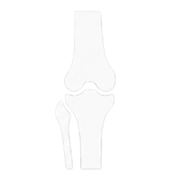 Χειρουργική Γόνατος