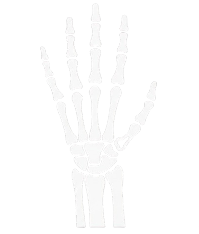 Χειρουργική Άνω Άκρου